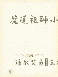 魔道祖师小说
