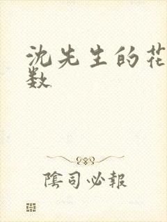 沈先生的花式调数