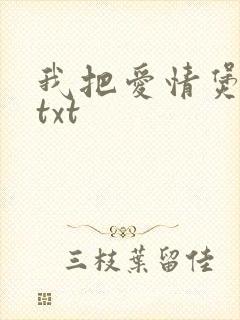 我把爱情煲成汤txt
