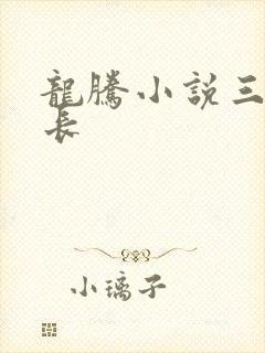 龙腾小说三宝局长