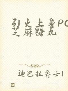 引火上身POP芝麻糖丸