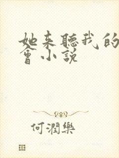 她来听我的演唱会小说