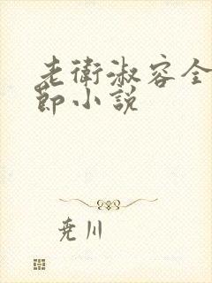 老卫淑容全部章节小说