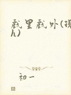 戏里戏外(现场h)