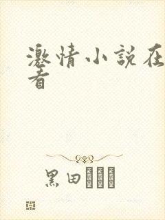 激情小说在线观看封面