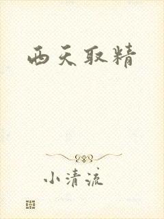 西天取精