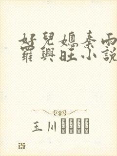 好儿媳秦雨罗明罗兴旺小说