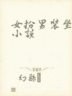 女扮男装坐江山小说