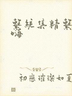 系统集精系统高嗨