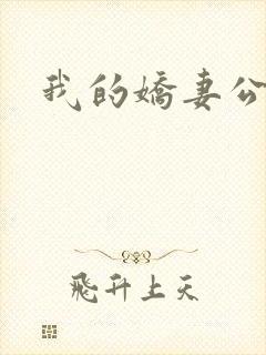 我的娇妻公务员