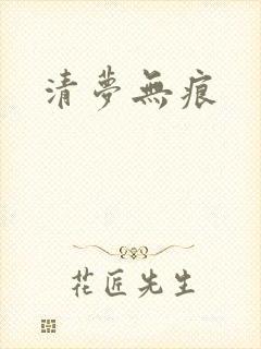 清梦无痕封面