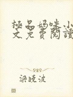 极品妈咪小说全文免费阅读