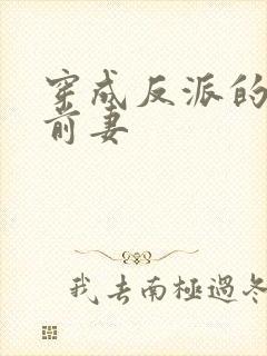 穿成反派的炮灰前妻封面