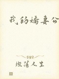 我的娇妻公务员