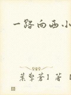 一路向西小说
