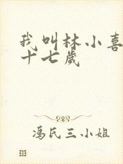 我叫林小喜今年十七岁