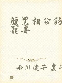 腹黑相公的庶女宠妻