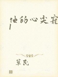 他的心尖宠1v1封面
