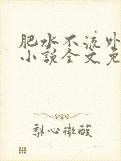 肥水不流外人田小说全文免费阅读1
