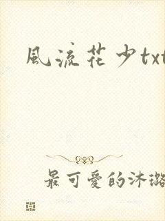 风流花少txt