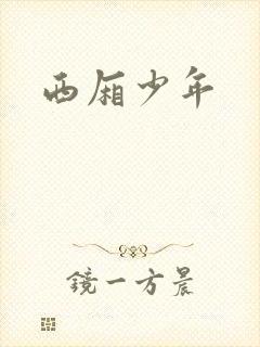 西厢少年封面