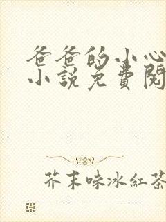 爸爸的小心肝儿小说免费阅读封面