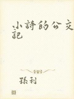 小诗的公交车日记