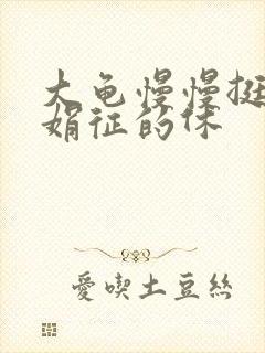 大龟慢慢挺进张娟征的休封面