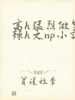 高h猛烈做哭高辣h文np小说