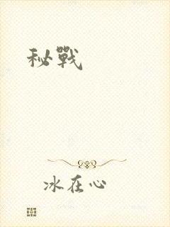 秘战