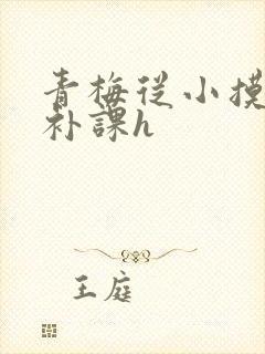 青梅从小摸到大补课h