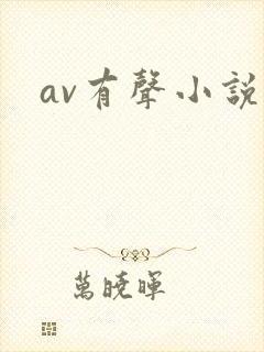 av有声小说