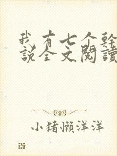 我有七个干妈小说全文阅读