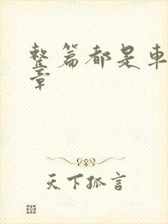 整篇都是车的文章