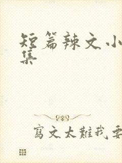 短篇辣文小说合集