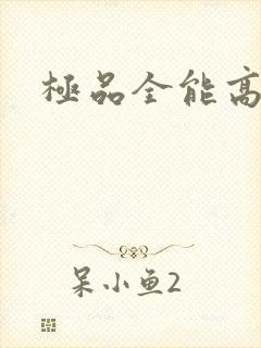 极品全能高手