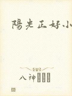 阳光正好小说封面