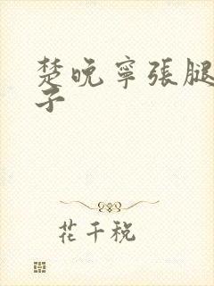 楚晚宁张腿放棋子封面