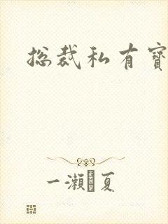 总裁私有宝贝封面