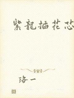 紫龙插花芯方正