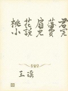 桃花扇落君不还小说免费完整版封面