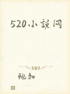520小说网封面