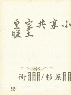 皇家共享小公主暖玉封面