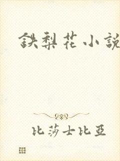 铁梨花小说