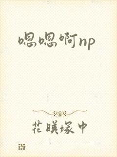 嗯嗯啊np