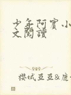 少年阿宾小说全文阅读