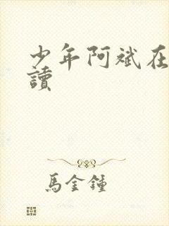 少年阿斌在线阅读