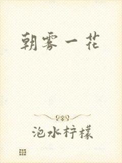 朝雾一花封面