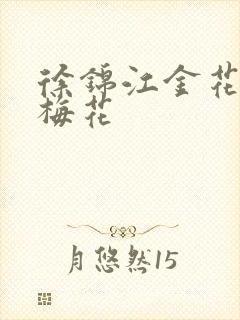 徐锦江金花瓶楷梅花封面