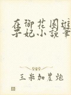 在御花园进入太子妃小说笔趣阁